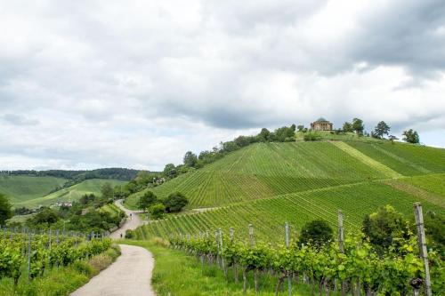 a path through a vineyard with a house on a hill at Apartment overlooking Stuttgart in Stuttgart
