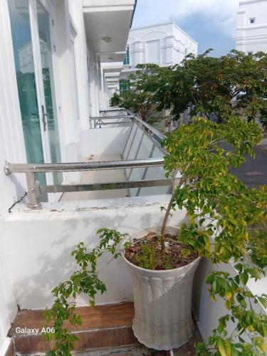 a potted tree sitting on the side of a balcony at MOTEL Đồng Khởi in Giồng Tú Ðiền