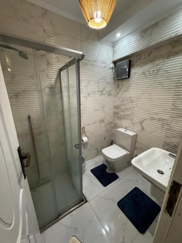 a bathroom with a shower and a toilet and a sink at Villa 53 Hotel by Pharaohs Hospitality in Sheikh Zayed
