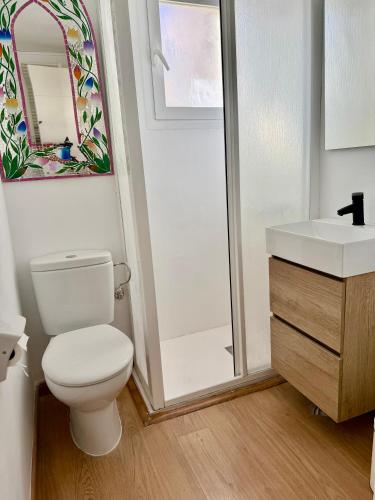 a bathroom with a toilet and a sink and a shower at Fabuloso apartamento Catedral Centro Ciudad in Granada