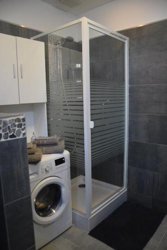 a washing machine in a bathroom with a glass door at La Belle Échappée à Fléron in Fléron