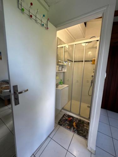a bathroom with a shower and a glass door at Appt F2 BELLISSIMA in Baie-Mahault