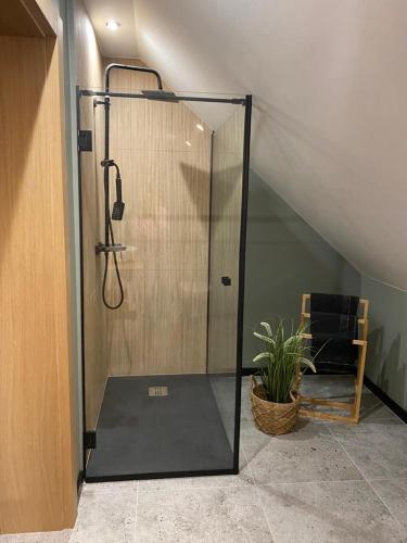 a shower with a glass door in a room at Apartament Nad Rzeczką in Godów