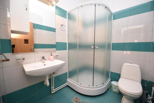 ハツェグにあるCasa Paraのバスルーム(シャワー、洗面台、トイレ付)
