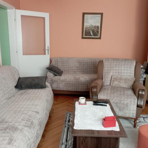 a living room with two couches and a coffee table at Apartman Icić in Pirot