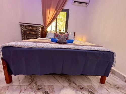 a bedroom with a bed with a blue comforter and a window at The Gambian Princess in Sukuta