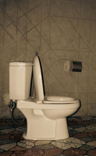 a white toilet in a bathroom with a wall at Lalinggo Bungalow in Tetebatu
