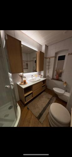 a bathroom with a toilet and a sink and a shower at FeWo Elisabeth am Harztor in Osterode