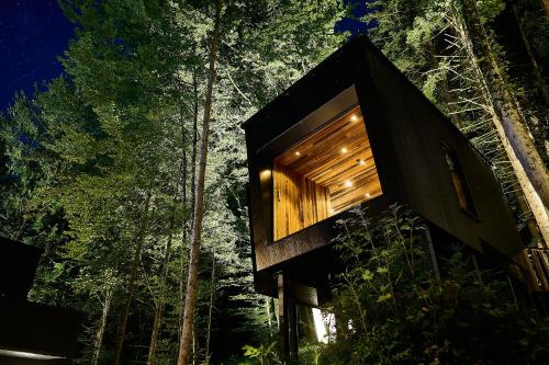a tree house in the woods at night at Hotel Fischerwirt Natur WaldSPA in Faistenau