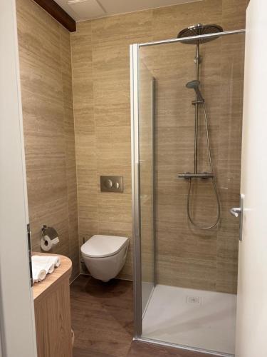 a bathroom with a shower and a toilet at V&V Sunset in Neuchâtel