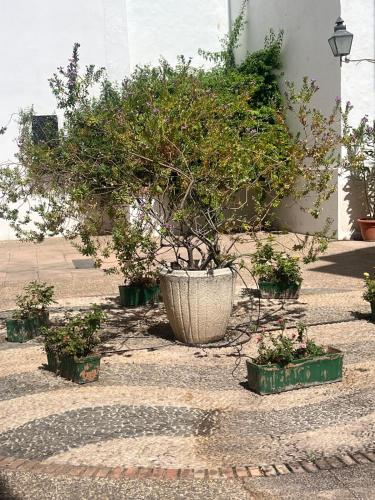 La Sacristía de San Pablo