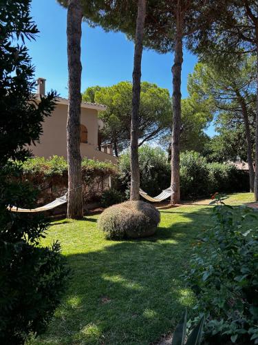 Gambar di galeri bagi VillAGio di Solanas