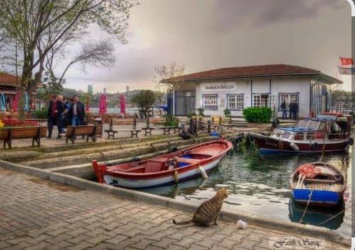 Θέα στο ποτάμι κοντά σε αυτό το διαμέρισμα