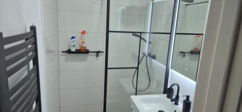 Ένα μπάνιο στο LCB Apartments Centru Târgu Mureș