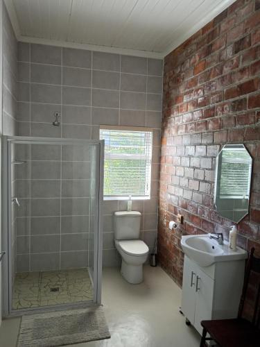 a bathroom with a shower and a toilet and a sink at Sandhuis in Riebeek-Kasteel