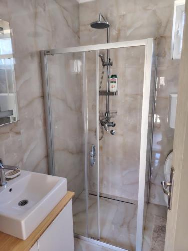 a bathroom with a shower and a sink at Banatska Oaza 