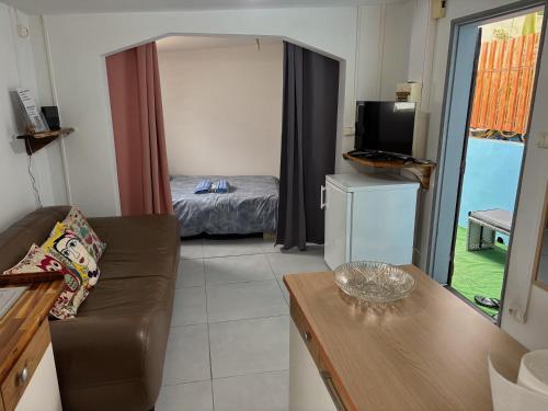 a living room with a couch and a bed and a television at Le petit nid in Saint-Louis