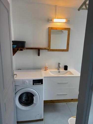 a small bathroom with a washing machine and a sink at Le petit nid in Saint-Louis