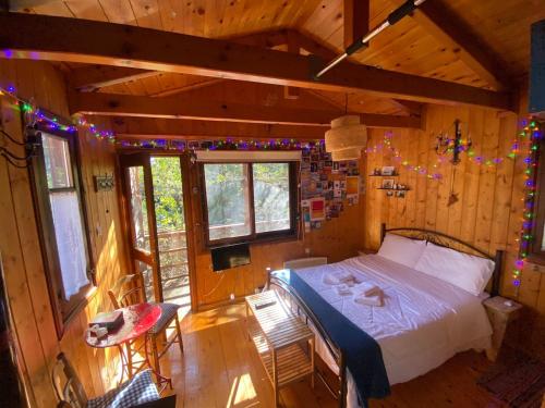 Η Χαρούμενη Αρκούδα