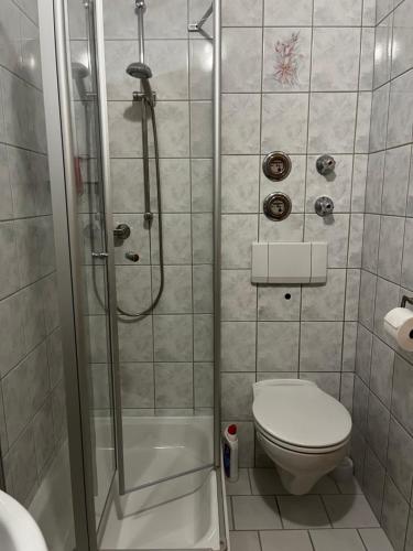a bathroom with a shower and a toilet at FeWo Feil süd in Freilassing