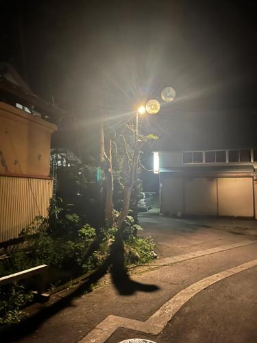 a street light with a tree in a parking lot at やまきや旅館 in Uonuma