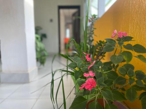 a vase filled with pink flowers next to a wall at New View Homestay in Veer Savarkar International Airport