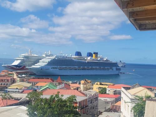 a cruise ship is docked in a harbor at Midtown in Saint Georgeʼs