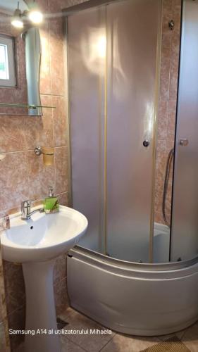 a bathroom with a sink and a shower at Casa Bogdan in Buşteni