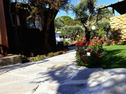 a sidewalk with flowers and a tree in a yard at בית חוה in Ramot Naftali