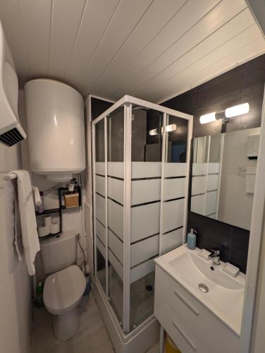 a small bathroom with a toilet and a sink at appartement T2 biscarosse plage in Biscarrosse-Plage
