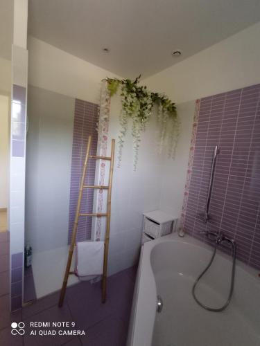 a bathroom with a bath tub and a ladder at Chez Dona in Cieurac