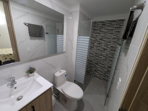 a bathroom with a toilet and a sink and a shower at Apartment in the center of Cali, 2nd Floor in Cali