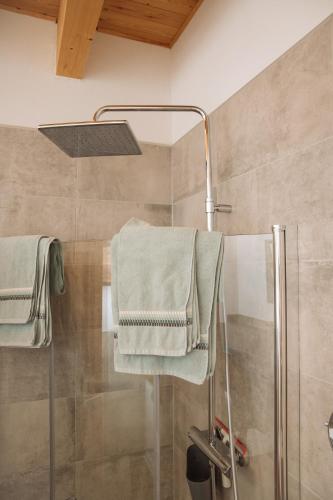 a bathroom with a shower and a towel rack at Overkamps - das Ferienhaus Odernheim in Odernheim