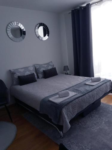 サラエボにあるMia Apartmentのベッドルーム1室(大型ベッド1台、壁に鏡2つ付)