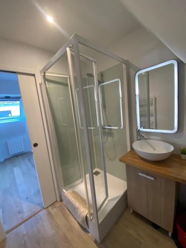 a bathroom with a shower and a sink at Les toits de Paimpol in Paimpol