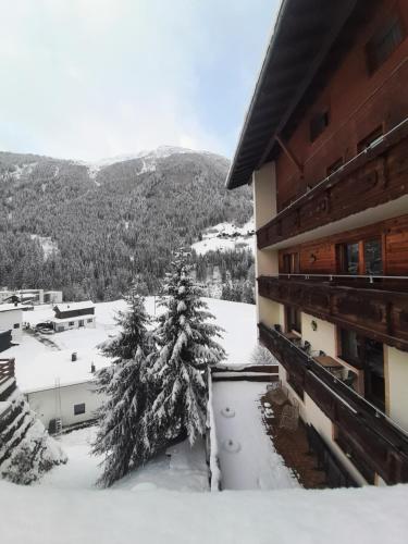 a snow covered tree in front of a building at Hotel Buckelhof - See - only 20 min from Ischgl in See
