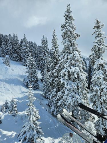 a group of snow covered trees with skis in the snow at Hotel Buckelhof - See - only 20 min from Ischgl in See