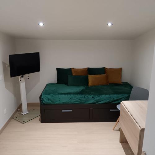 une chambre avec un lit avec des draps verts et une télévision à écran plat dans l'établissement Studio chez l'habitant, à Couëron
