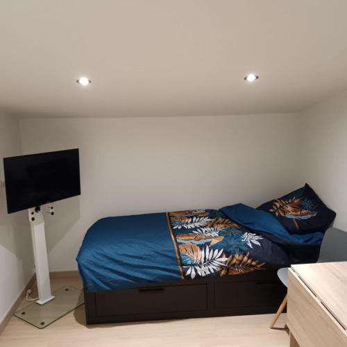une chambre avec un lit et une télévision à écran plat dans l'établissement Studio chez l'habitant, à Couëron