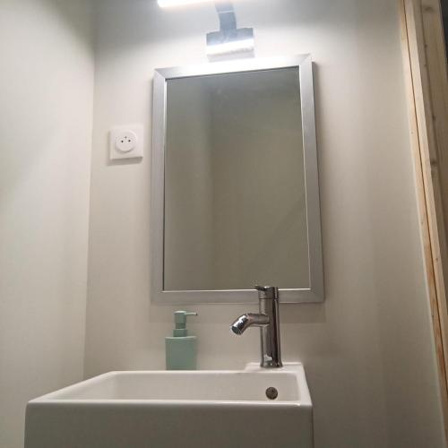 un lavabo de salle de bain avec un grand miroir au-dessus dans l'établissement Studio chez l'habitant, à Couëron