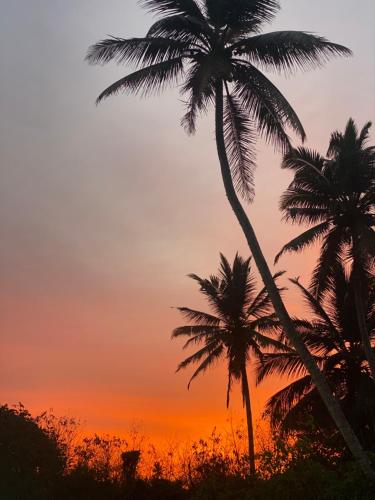 two palm trees in front of a sunset at Coco Inn Polhena in Matara