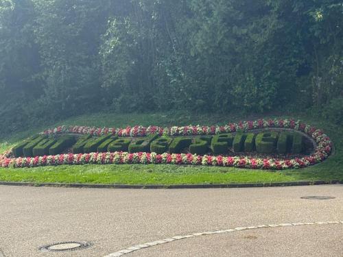 a flower bed with pink flowers in a park at Schwarzwaldloge Zeitlos in Brandmatt