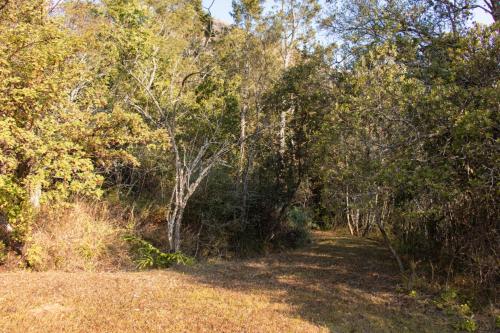 a dirt trail through a wooded area with trees at Ondini Guest House in Winterton