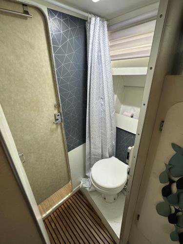 a small bathroom with a toilet and a shower at Vedette location à la nuitée sur l eau in Valence