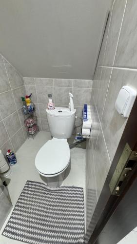 a bathroom with a white toilet and a rug at Sancta Katharina in Rozvadov