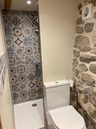 a bathroom with a toilet and a stone wall at La maisonnette du Chambon in Monistrol-sur-Loire