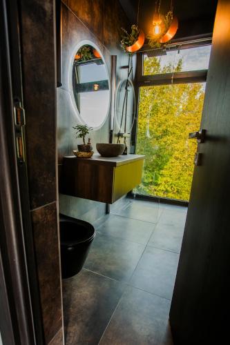 a bathroom with a toilet and a sink and a mirror at Tea House Ponoarele in Ponoarele