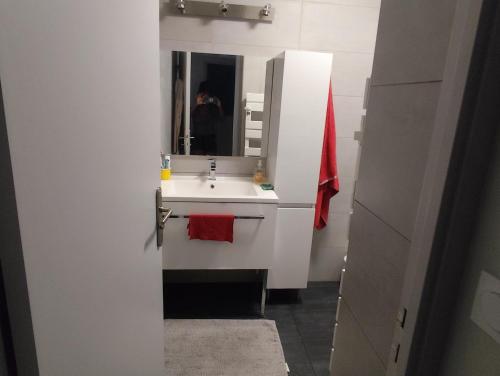 a bathroom with a white sink and a mirror at Chambre cosy et confort en centre ville in Evry-Courcouronnes