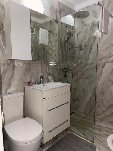 a bathroom with a toilet and a shower at Central Bliss 3 rooms in Iaşi