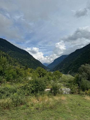 別荘の近くで見られる自然の景観